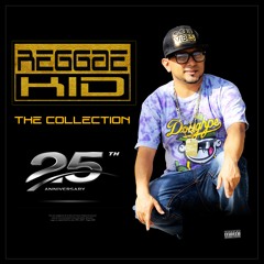 8-  VIENE DE ARRIBA - REGGAE KID   (2012)