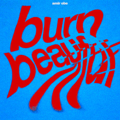 BURN BEAUTIFUL