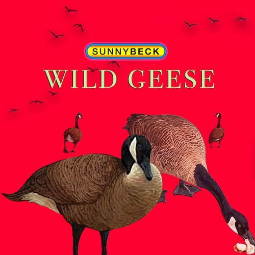 Wild Geese