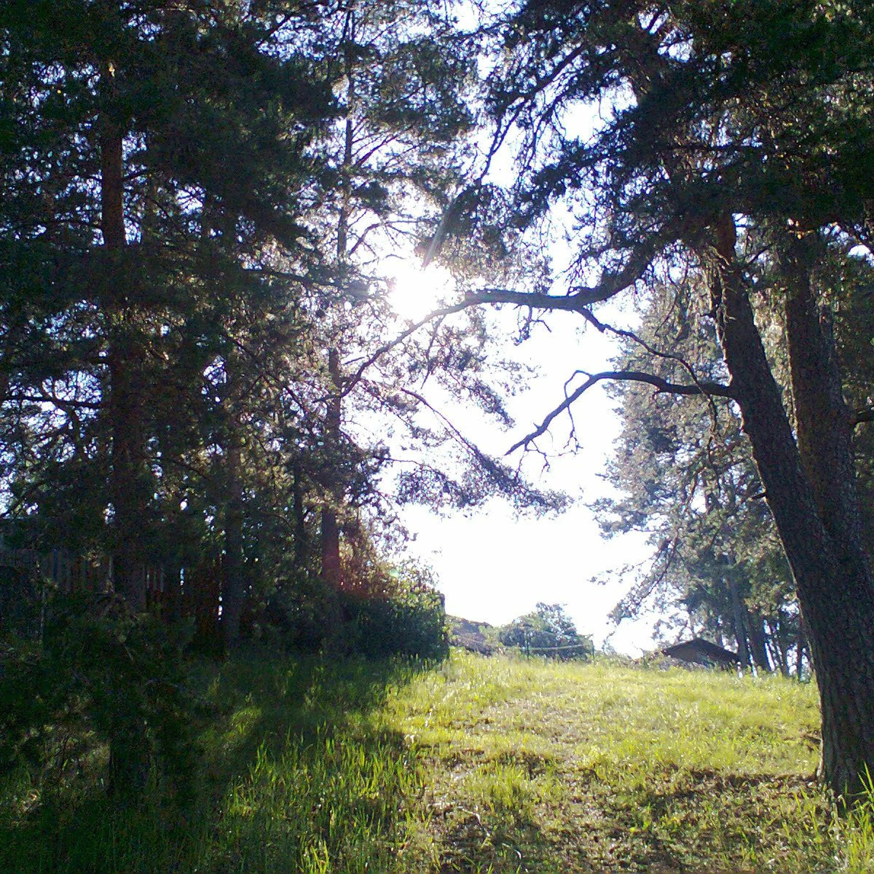 Liudmila Knyazeva\'s Podcasts