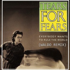Tears for Fears - Everybody wants to rule the word (Waldo Remix)