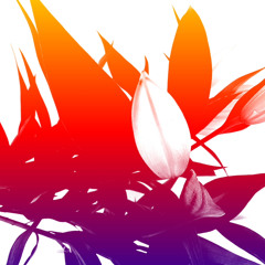 Guitar and Vocals - Going Away to College