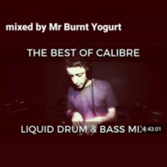 The Best of Calibre - Liquid Drum & Bass Mix (Mr Burnt Yoghurt)
