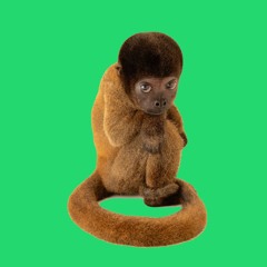 Isofectues - gvaram & fugaguga