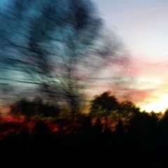 slow life