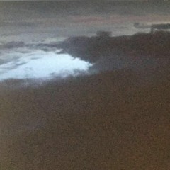 thylacine stripes - lghtrck.a