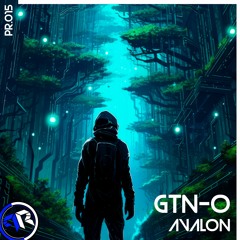 Avalon (Original Mix) [Perkussion Records]
