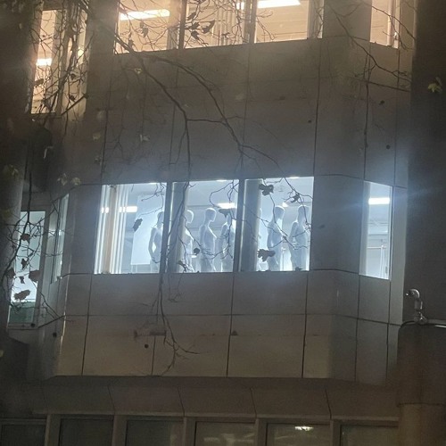 5 GATE TEMPLE w/ Xterea 251125