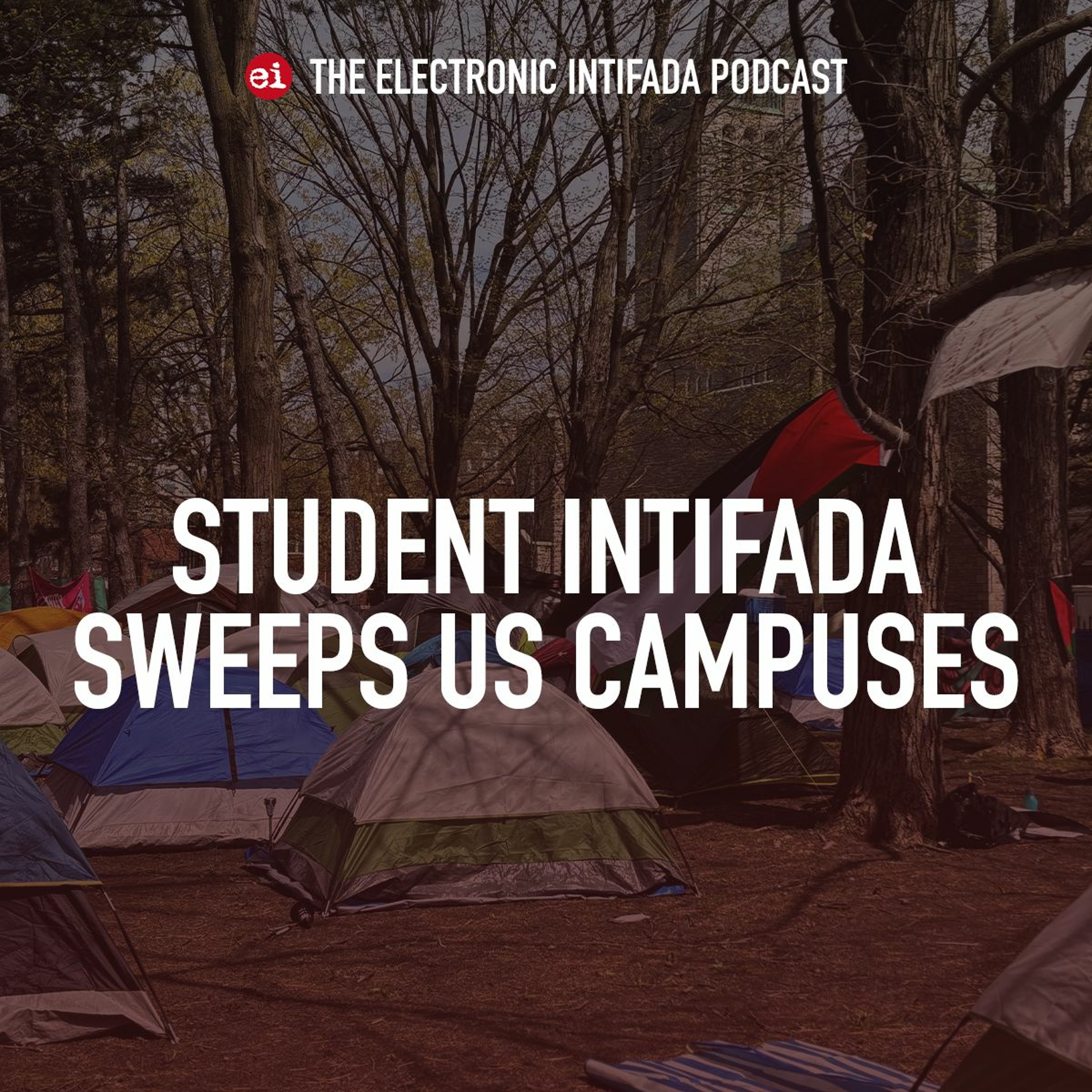 The Electronic Intifada