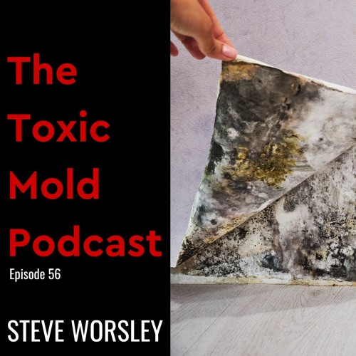 EP 56: Does visible mold mean I need to run air tests?