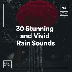 Vividly Rain, Pt. 10