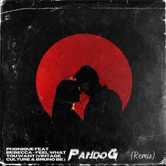 Feel What You Want -Phonique Feat. Rebecca - (Vintage Culture & Bruno Be ) Pando G Remix
