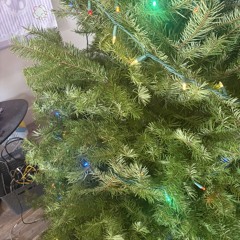 LuckyStar7 - Jingle Bells