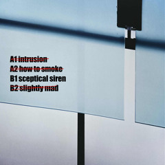 B1 sceptical siren