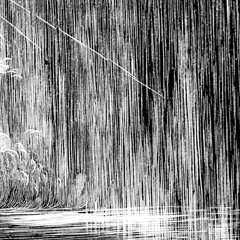 Mosquitoes In A Rainstorm