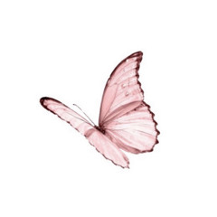 المعوذات ماهر المعيقلي