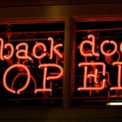 Layte Nyte- back door