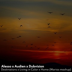 Alesso x Audien x Dubvision  -  Destinations x Living in Color x Home (Marios mashup)
