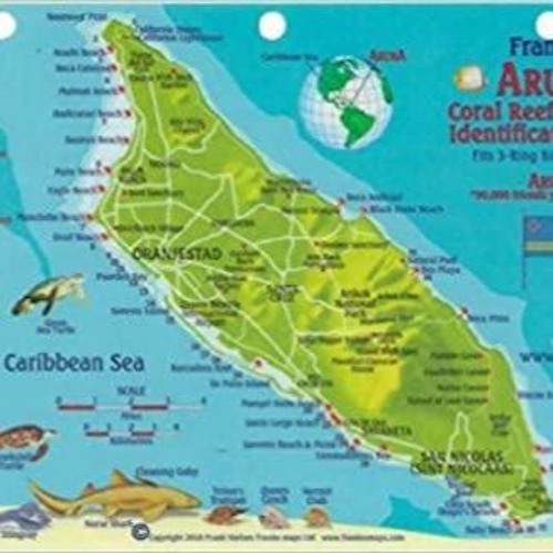 Stream Download Aruba Dive Map & Reef Creatures Guide Franko Maps Laminated Fish Card from