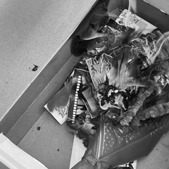 walangya freestyle (draft)