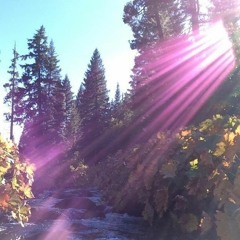 I Want U To Hear Dis (xansays)