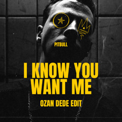 Pitbull - I know You Want Me (Ozan Dede Edit) | #3 HYPEDDIT