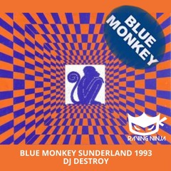Blue Monkey Sunderland 1993 Dj Destroy