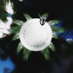 Frederick Miller Jr, XIXVIMM - Paradise Package ©