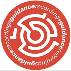 Guidance Recordings Vinyl mix July 2024