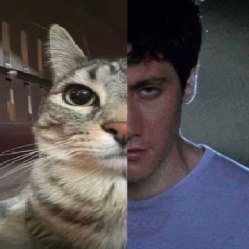 what are you running from