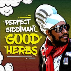 Perfect Giddimani & Jimmy Splif Sound - Good Herbs [Evidence Music]