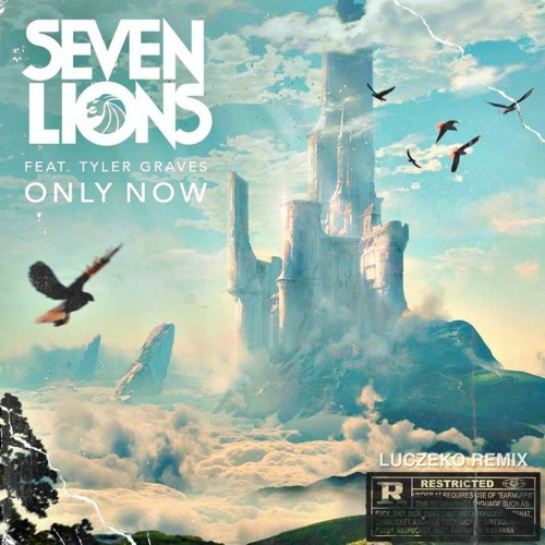Seven Lions - Only Now (Feat. Tyler Graves) [LUCZEKO Remix]