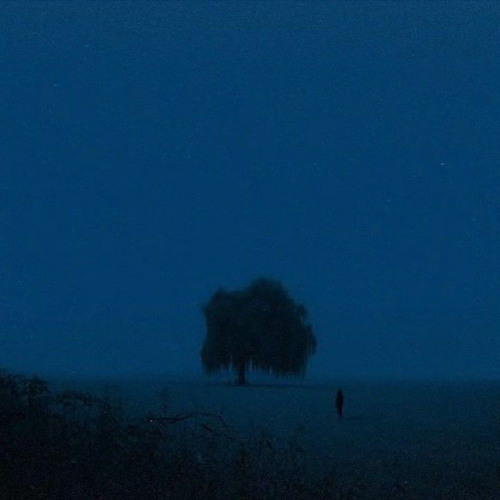 Dream Noise (Part 2)