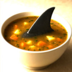 Shark Fin Soup