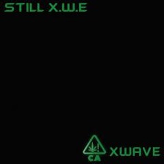KARDO X BANGWHITE - STILL (X.W.E)