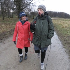 2. Stereo. Gensidig arousalregulering - Randersgade jan 2019