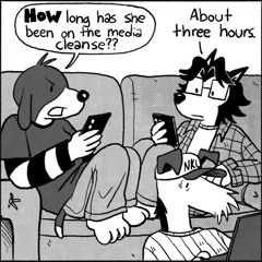 pave de uma vida inteira