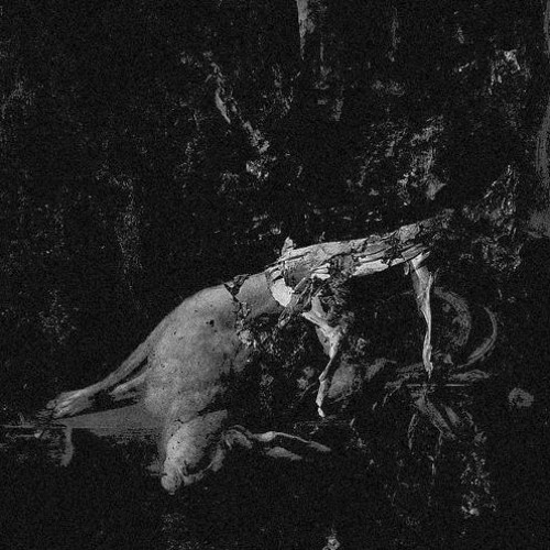 i wrote you a letter, that i'll never send (yung van cover)