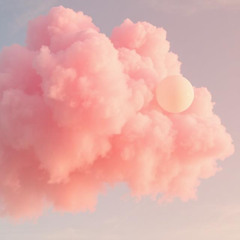 Flip It - Selenity and Matt