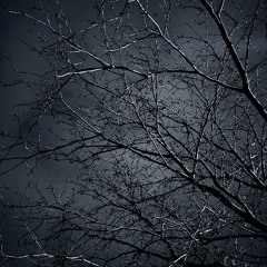 BLUE_TAPE (2)