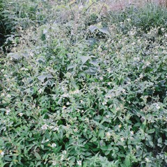 lukewarm さとうもか🧸𓈒 𓂂𓏸