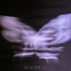 SpacePLCK