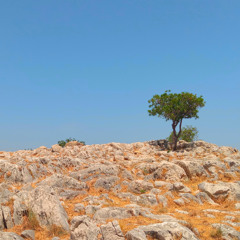 Keep the unspoken a secret