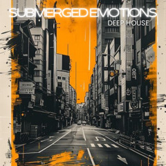 Ephemeral Haze - American Deep House Miami Sessions JH