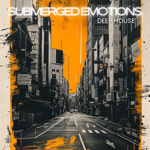 Ephemeral Haze - American Deep House Miami Sessions JH