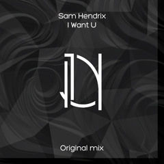 Sam Hendrix - I Want You (Original Mix)