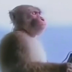 CHOCTIV - POSTED IN KOREA WITH SOME FREAKS !