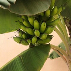 Rooftop - Afro Chill Mix #4 (REUPLOAD)