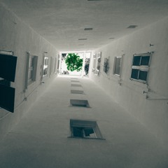 Circles