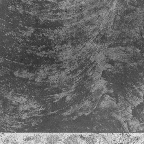 Exclusive Download | Root ~ Wave Particles